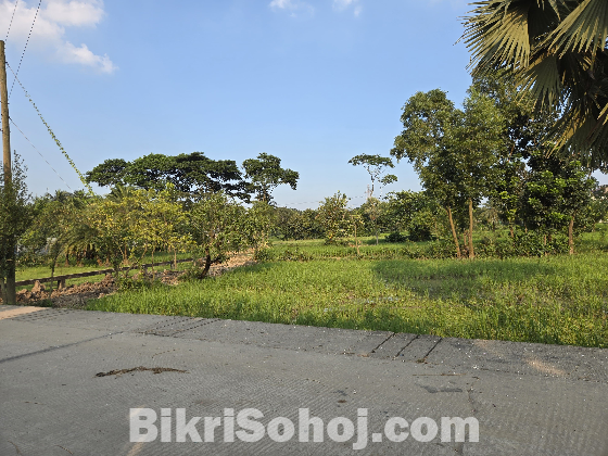 টঙ্গীর গাছায় ৪ বিঘা  জমি ভাড়া হবে